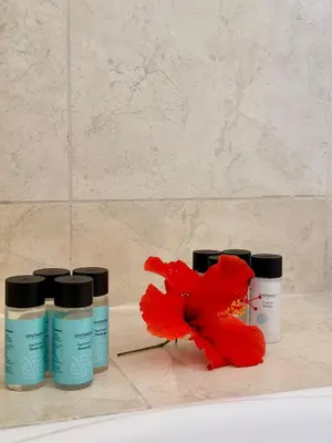 a red flower sitting next to three bottles of sunscreen at Rope and Reef 2BD Walk to Nissi Beach and Pool in Ayia Napa