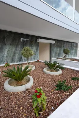 a courtyard with three plants in front of a building at Chrystal Residences in Nicosia
