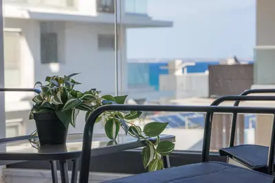 a potted plant sitting on a table on a balcony at Mackenzie Signature Studio Suite in Larnaca in Larnaka