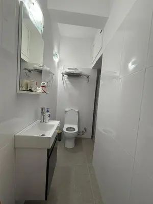a white bathroom with a toilet and a sink at Flat Koskluciftlik in Nicosia