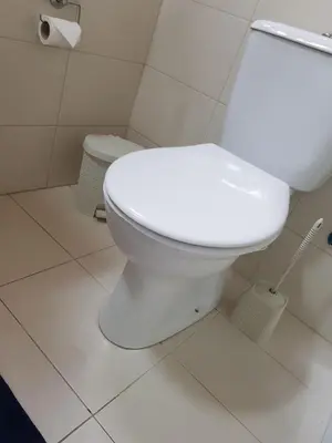 a bathroom with a white toilet in a room at Cottage Studio Zoe in Psematismenos