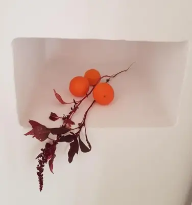 a branch with oranges and leaves on a white wall at Cottage Studio Zoe in Psematismenos