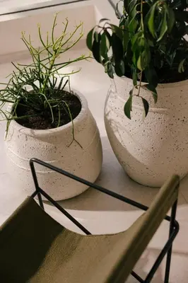 two white vases sitting on a table with plants at Pinewood by Holistays in Engomi