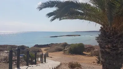 a stairway leading to a beach with a palm tree at Summer Breeze apt by Nissi Beach in Ayia Napa