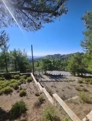 a view of a field with trees and mountains in the background at Maria's Garden House in Pelendri
