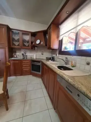 a kitchen with wooden cabinets and a sink and a window at Maria's Garden House in Pelendri