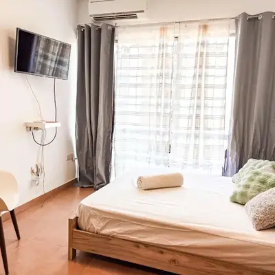Olive studio
