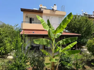 a house with a banana tree in front of it at 3 bedroom Villa in Kyrenia, 2 minutes away from the beach! in Strovolos