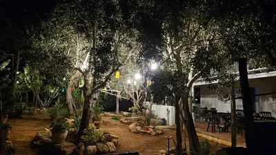 a garden at night with trees and rocks at Andreotis Garden in Protaras