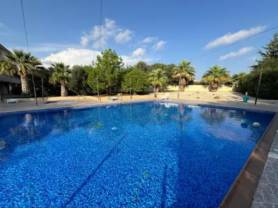 a large blue swimming pool with palm trees in the background at NISSI Elena BEACH apt in Ayia Napa