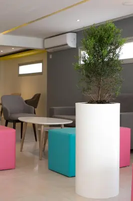 a room with a table and a potted plant at Flora Maria Hotel in Ayia Napa