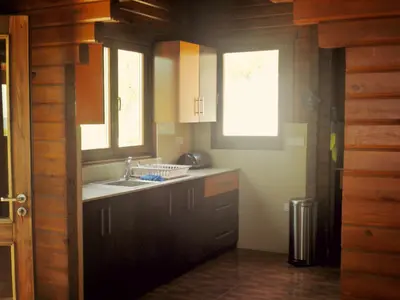 a kitchen with a sink and two windows at Agros Timber Log House in Agros