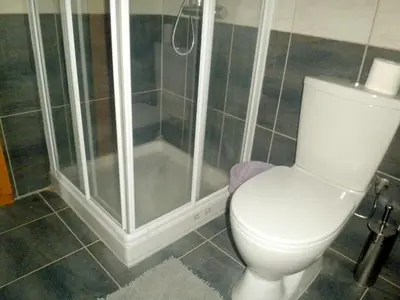 a bathroom with a toilet and a shower at Agros Timber Log House in Agros