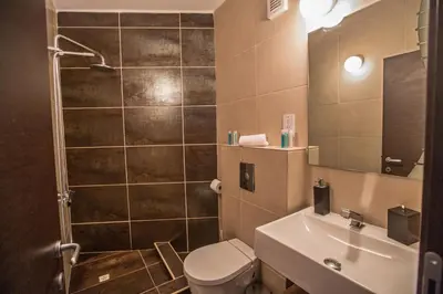 a bathroom with a toilet and a sink and a mirror at Pallinio Fig Tree Bay Apartments in Protaras