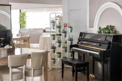 a room with a piano and a table with plants at Cactus in Larnaka