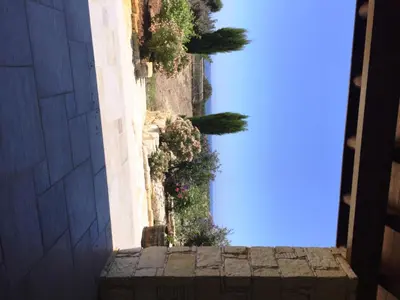 a view from the outside of a building with plants at Paradise Traditional House in Maroni