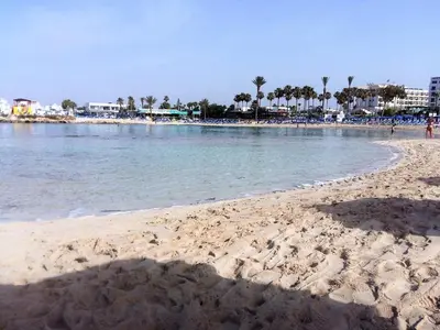 a sandy beach with palm trees and the ocean at Christopher's Sandy Beach Suites in Ayia Napa