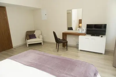 a bedroom with a bed and a tv and a chair at Manolia City Residences in Nicosia