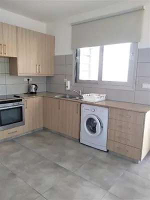 a kitchen with a washing machine and a sink at T&E Villa in Larnaka