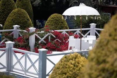 a white fence with flowers and an umbrella at So Nice Beach Resort in Ayia Napa