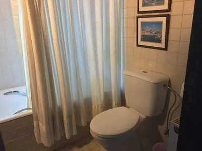 a bathroom with a toilet and a shower curtain at Agia Mavri House in Koilani