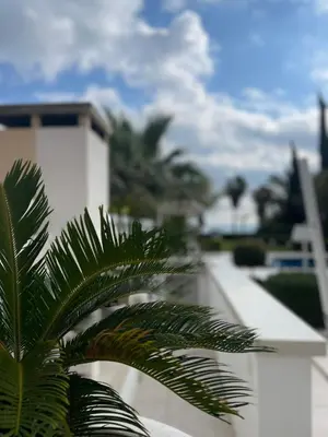 a palm tree in front of a white building at Serenity Villa Mediterranean in Pervolia