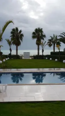 a swimming pool with palm trees in the background at Serenity Villa Mediterranean in Pervolia