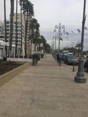 a street with palm trees and cars on a sidewalk at Nautilus Tourist Apartments in Larnaka