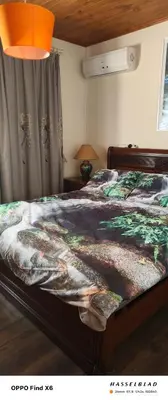 a bedroom with a bed with a dinosaur comforter at Siamese Villa in Paralimni