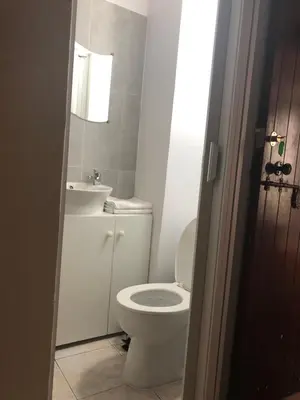 a bathroom with a white toilet and a sink at Villa Thermopilon in Larnaka