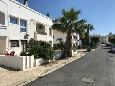 a palm tree on the side of a street at Luxury Studio Ayia Napa Center in Ayia Napa
