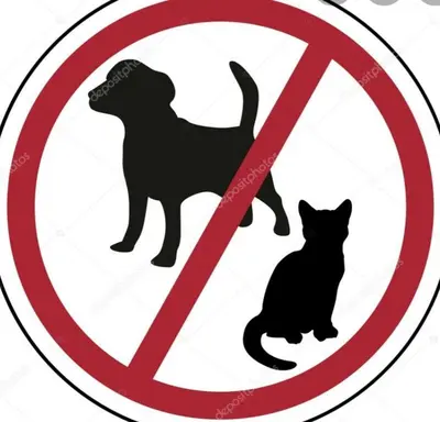 a prohibitory sign with a dog and a cat at Julia's Residence in Nicosia