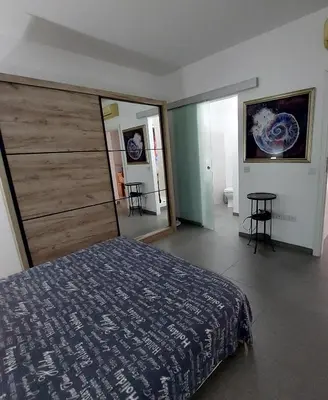 a bedroom with a bed and a large closet at Julia's Residence in Nicosia