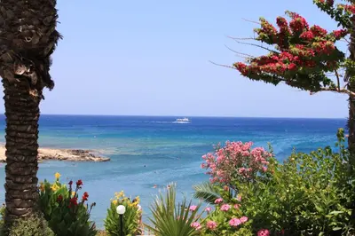 a view of the ocean from a garden with flowers at Crystal Springs Beach Hotel in Protaras