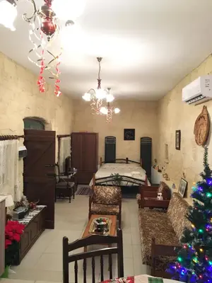 a living room with a christmas tree in it at Amalia Panorama House in Zanaja