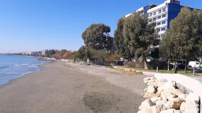 a view of a beach with a building and trees at Artemis Boutique Apartment 1 in Limassol