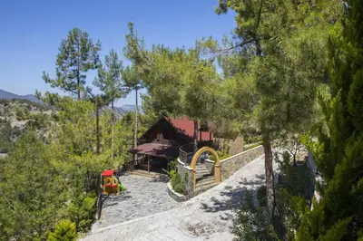 a house in the middle of a forest at Ricky Chalet Near Troodos in Spilia