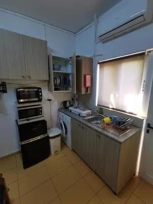 a small kitchen with a sink and a dishwasher at Nicosia rooms Studios in Nicosia