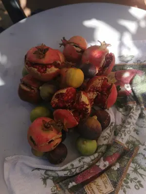a pile of fruit sitting on a white table at Nicosia rooms Studios in Nicosia