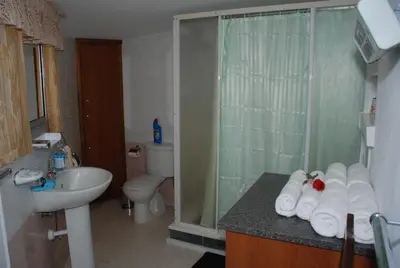 a bathroom with a shower and a sink and a toilet at Kanarinis House in Omodos