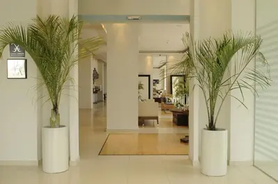 a lobby with two potted plants in white vases at E-Hotel Larnaca Resort & Spa in Larnaka