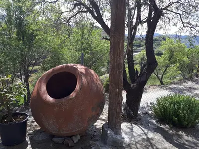 a large vase sitting next to a tree at Agrompelo House in Agros