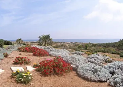 a garden of flowers with the ocean in the background at Luxury Bay View Villa 20 Right On Τhe Beach in Protaras