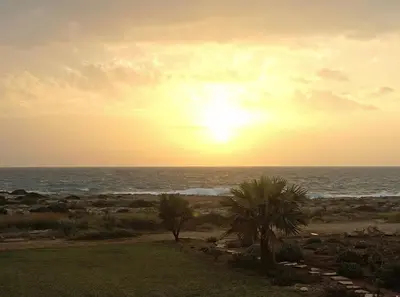 a sunset over the ocean with palm trees at Luxury Bay View Villa 20 Right On Τhe Beach in Protaras