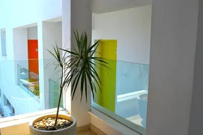 a potted plant in a room with a window at Napian Suites in Ayia Napa