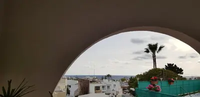 a view of a palm tree from a window at Sunny Napa Apartments in Ayia Napa