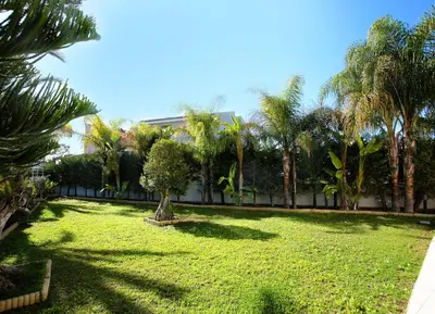 a lawn with a tree in the middle of it at The White House in Larnaka