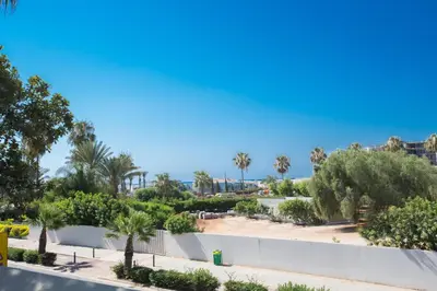 a view of a park with palm trees and bushes at Stratovarius Nissi Rooms in Ayia Napa