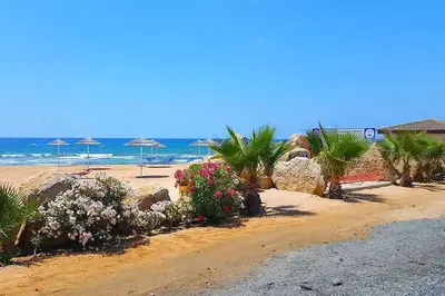 a beach with palm trees and umbrellas and the ocean at Katerina in Ayia Napa