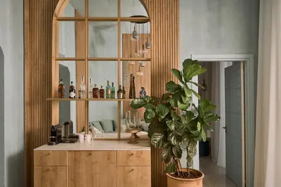 a wooden cabinet with a mirror and a potted plant at Hotel Napa Suites (Adults Only) in Ayia Napa